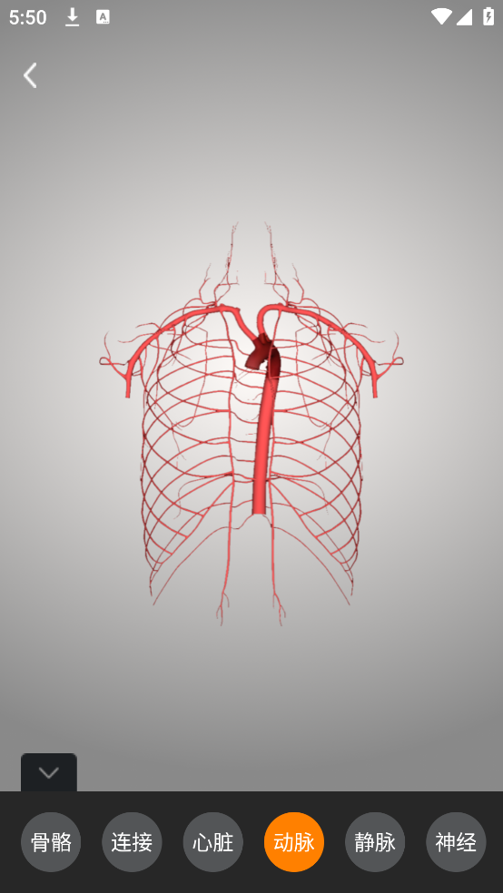 解剖学app v1.1.0