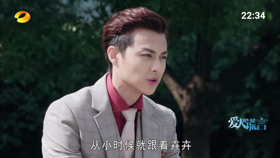 看电视tv电视版 v92