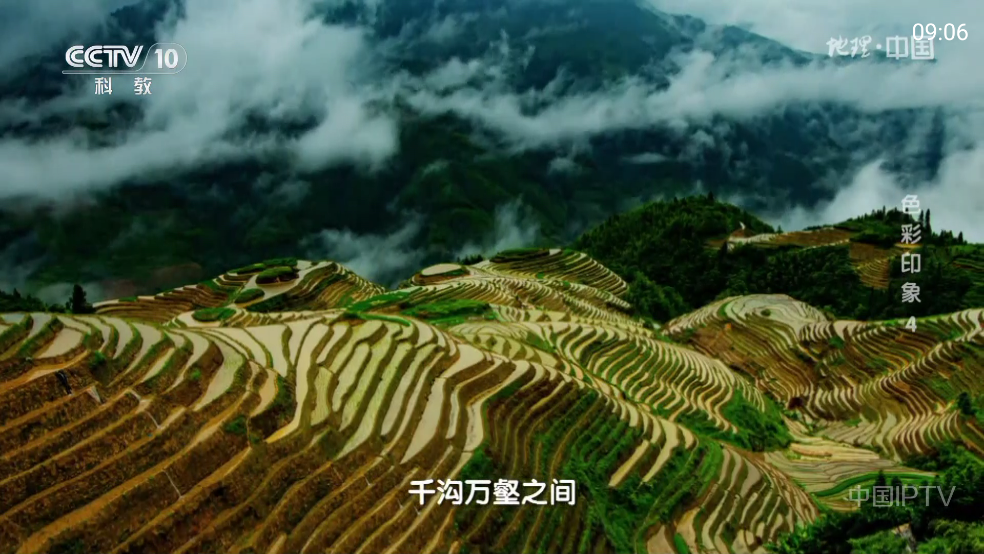 频道多多电视app v1.3.9