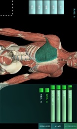 人体解剖学图集 v3.10.5