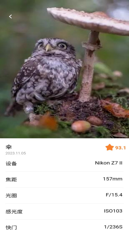 潮流秀官方下载app v1.0.0