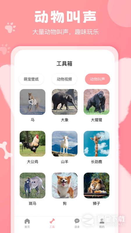 狗语翻译器 v3.1