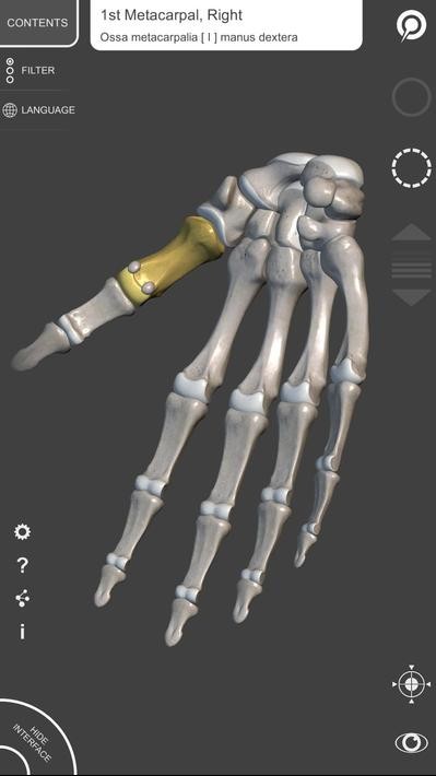 3D Anatomy解锁高级版 v6.8