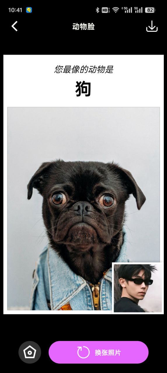 拍拍秀免费下载app v1.3.4