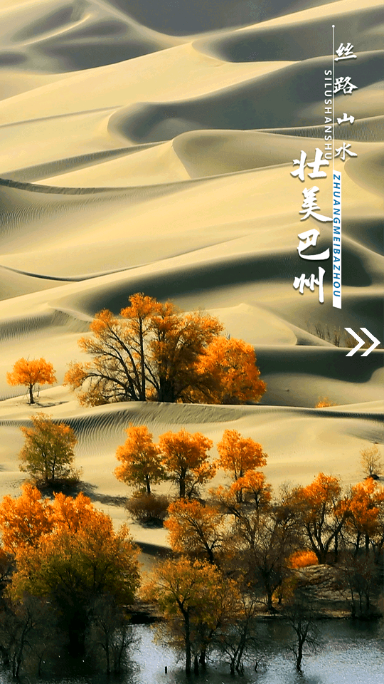 我的巴州app v1.0.7