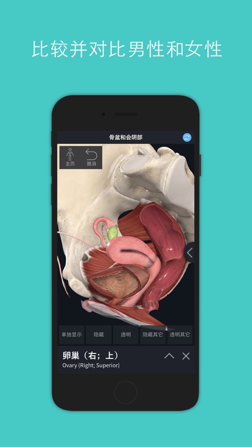 Complete Anatomy2022官方版 v8.4.0
