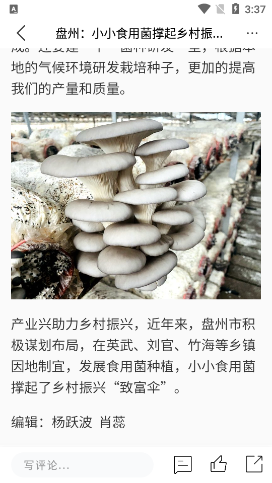 金彩盘州app最新版 v2.0.12