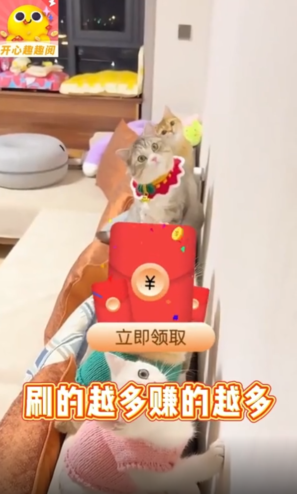 开心趣趣阅极速版 v5.4.0