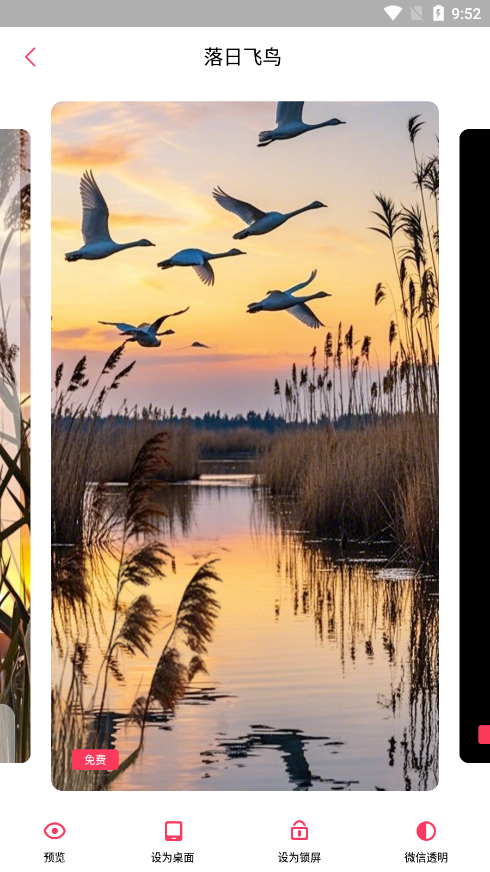 微视频壁纸动态壁纸下载 v5.4