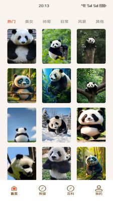 小熊猫CZR手机版下载 v1.3