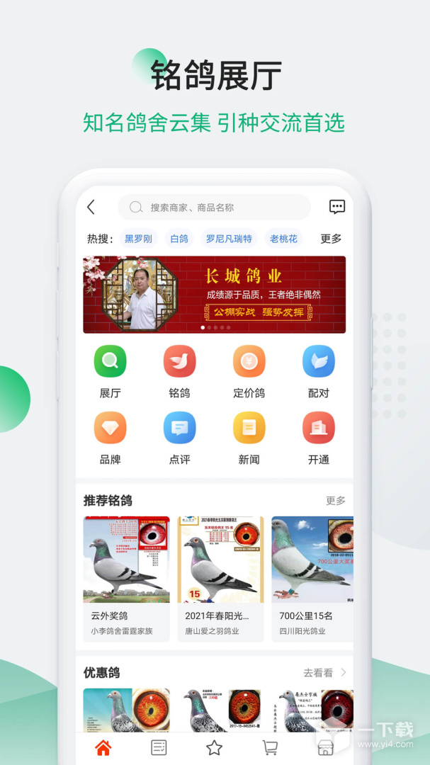 中国信鸽信息网 v20260206