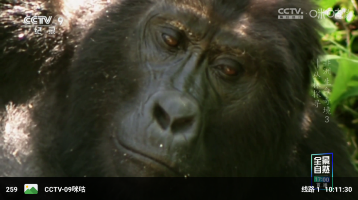 开心tv电视直播 v3.1.0