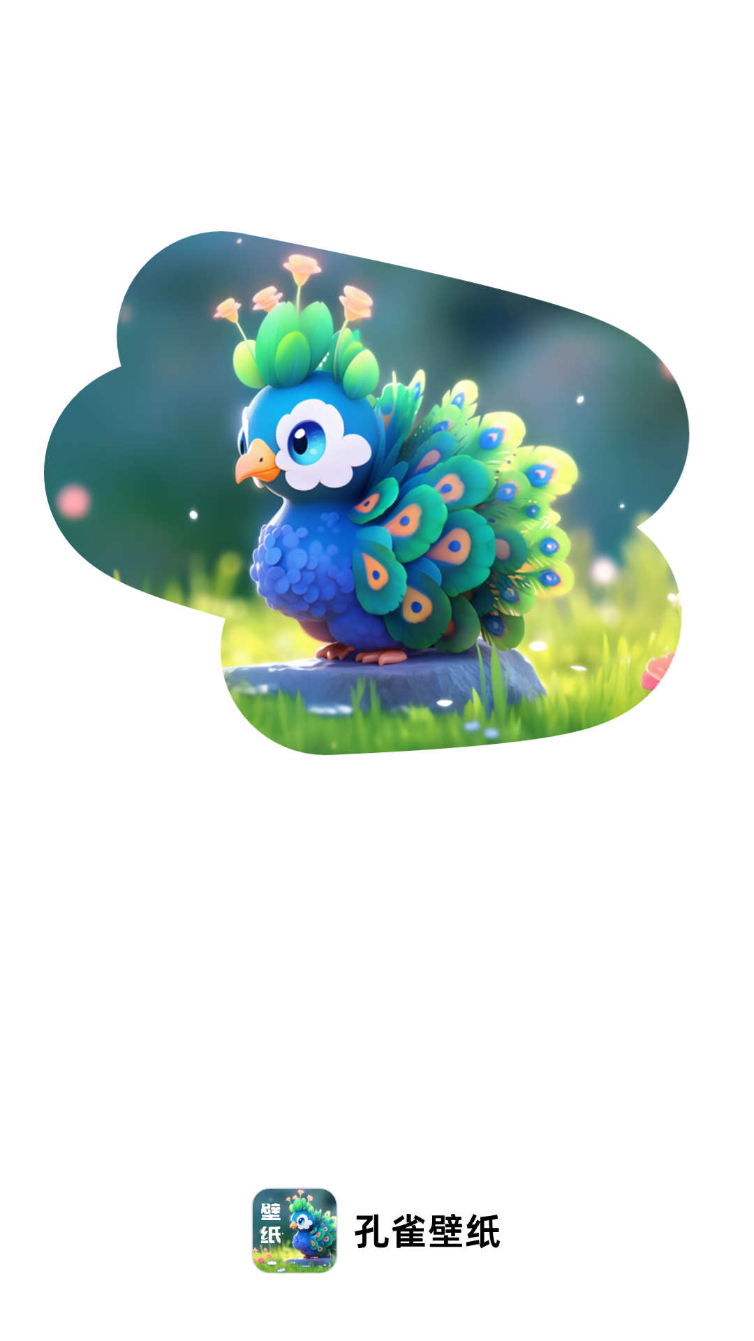 孔雀壁纸app下载免费版