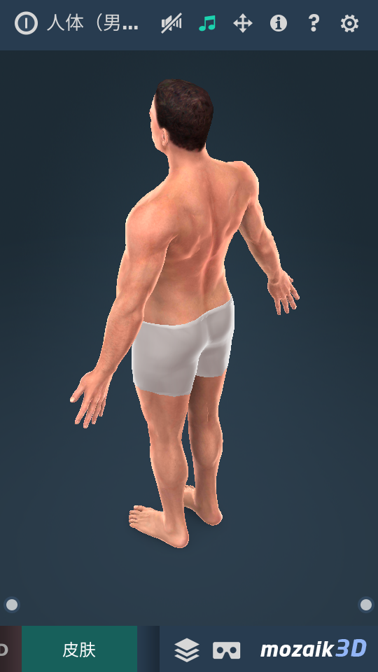3D人体男模型APP v1.24