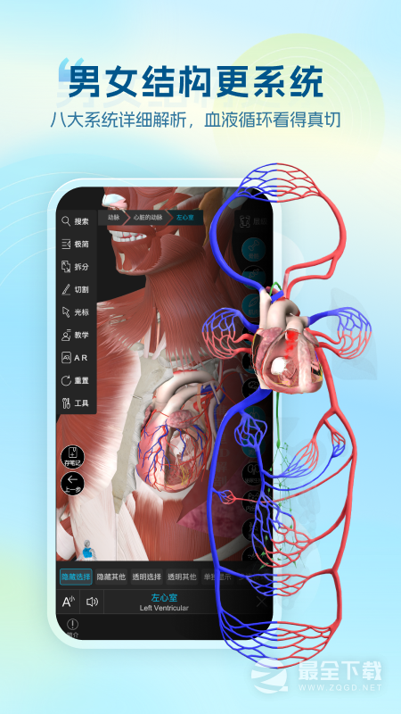 维萨里3D解剖 v6.9.9