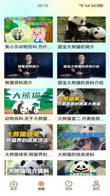 小熊猫CZR手机版下载 v1.3