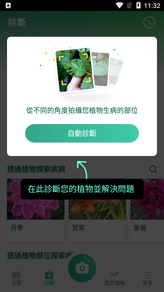 PictureThis解锁高级版 v5.14.0