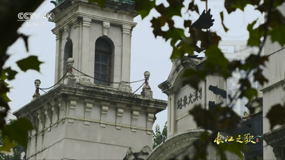 New直播tv版 v2501