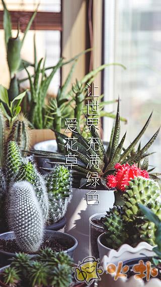 爱花草app官方版 v7.3