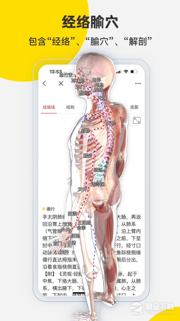 3DBody解剖 v8.8.83