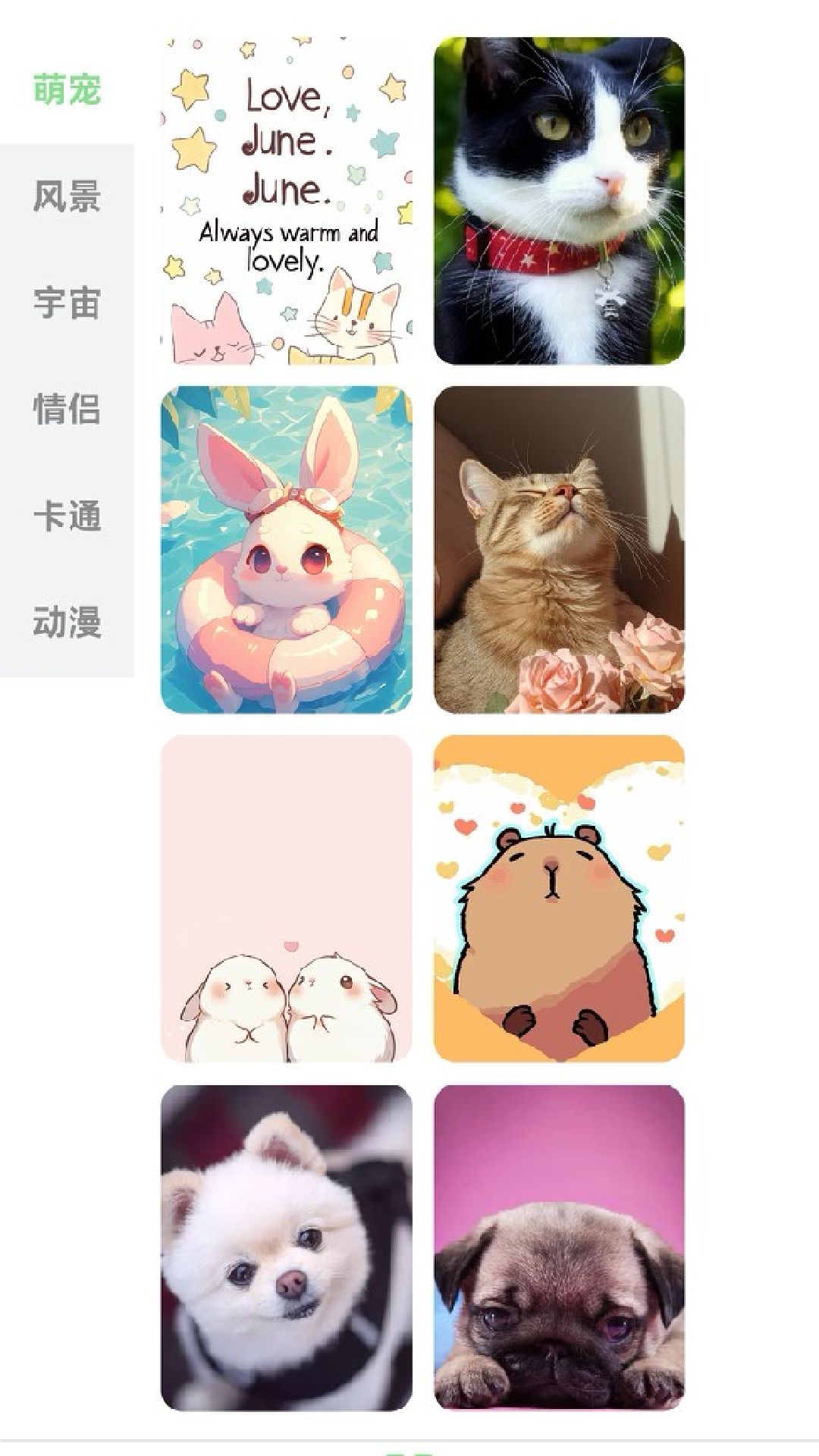 每日淘壁纸官方下载 v1.0.1