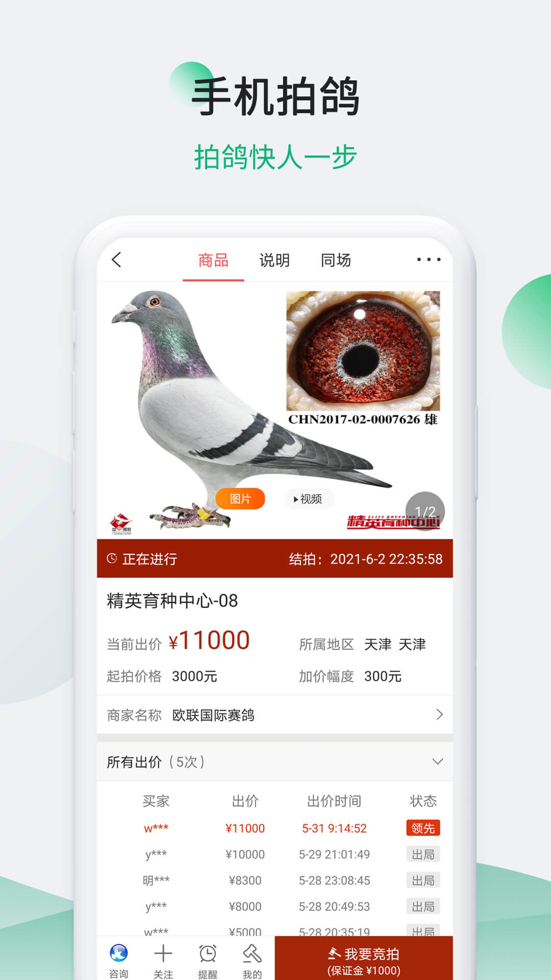 中国信鸽信息网手机版 v20250610