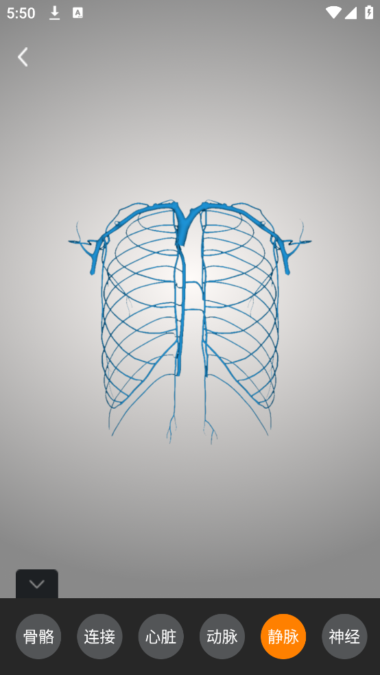 解剖学app v1.1.0