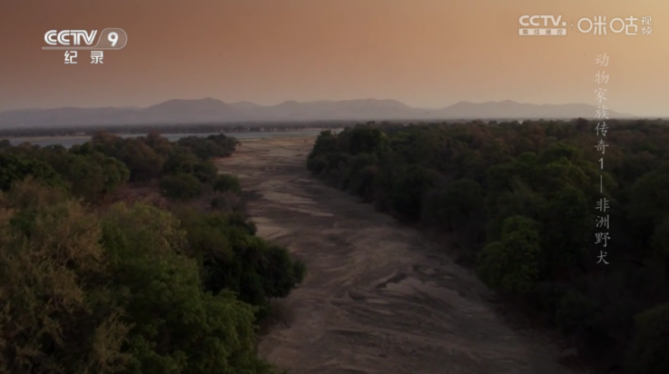 悠悠电视tv版 v1.0.3