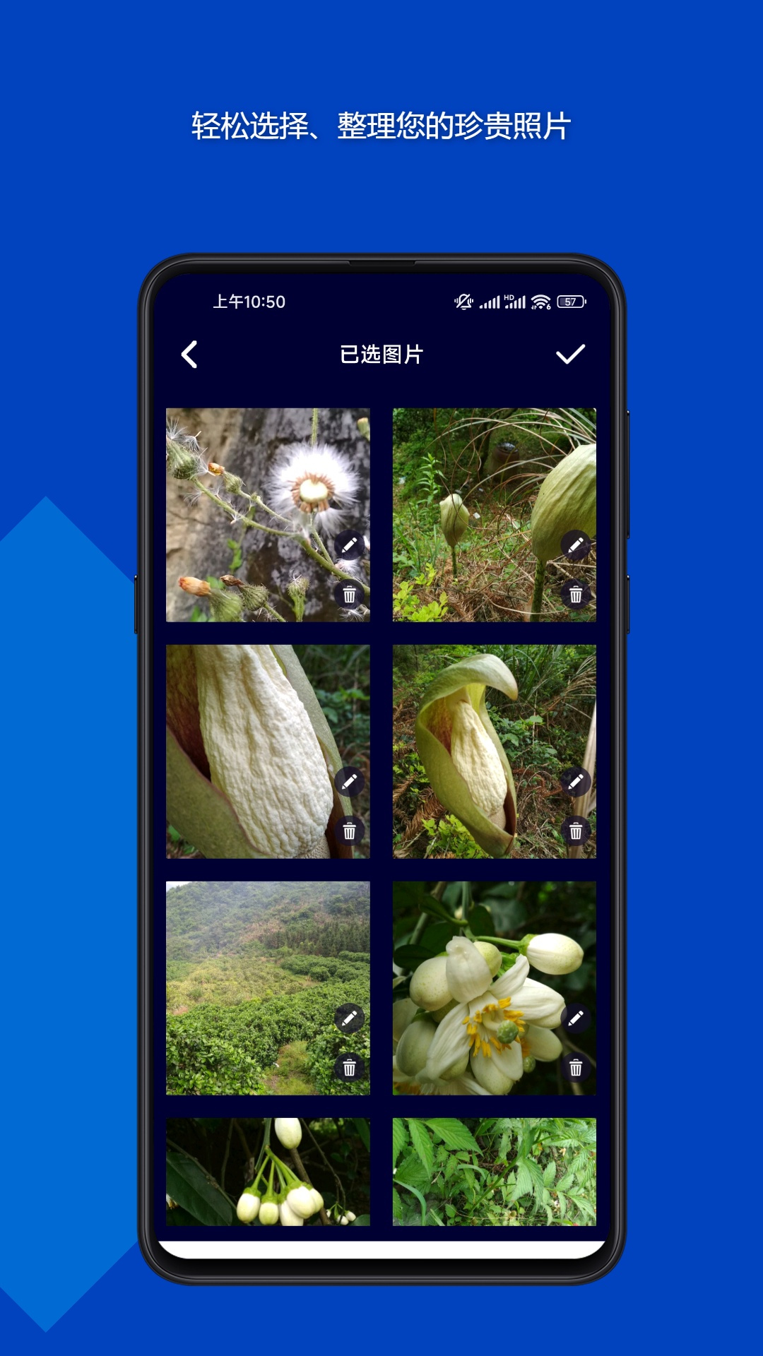 魔法音乐相册app安卓版下载 v23.12.19