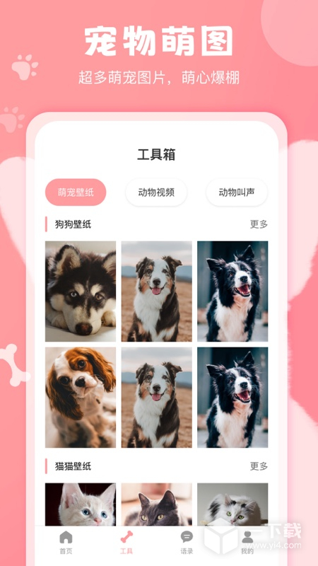 狗语翻译器 v3.1