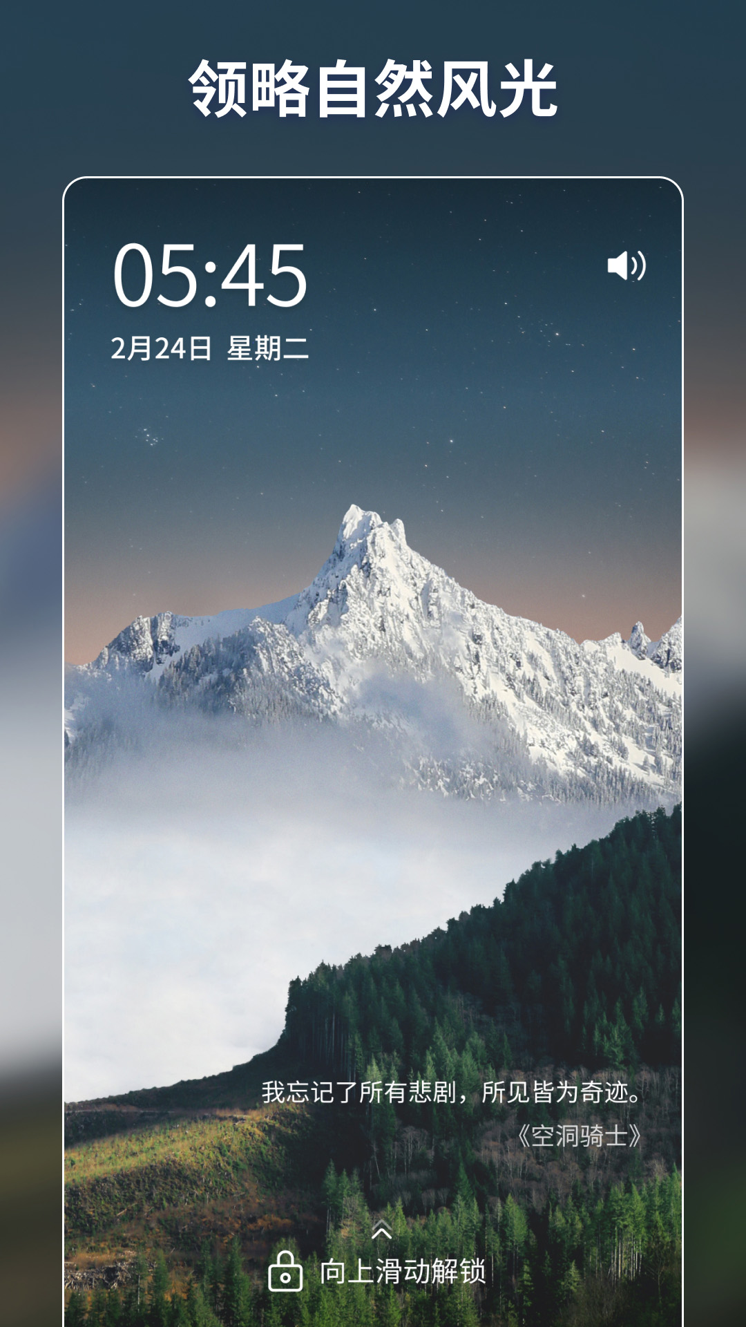 壁纸酱 v1.11.8