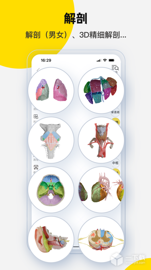 3DBody解剖 v8.8.83