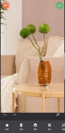 镜像相机最新版下载 v2024.10.300