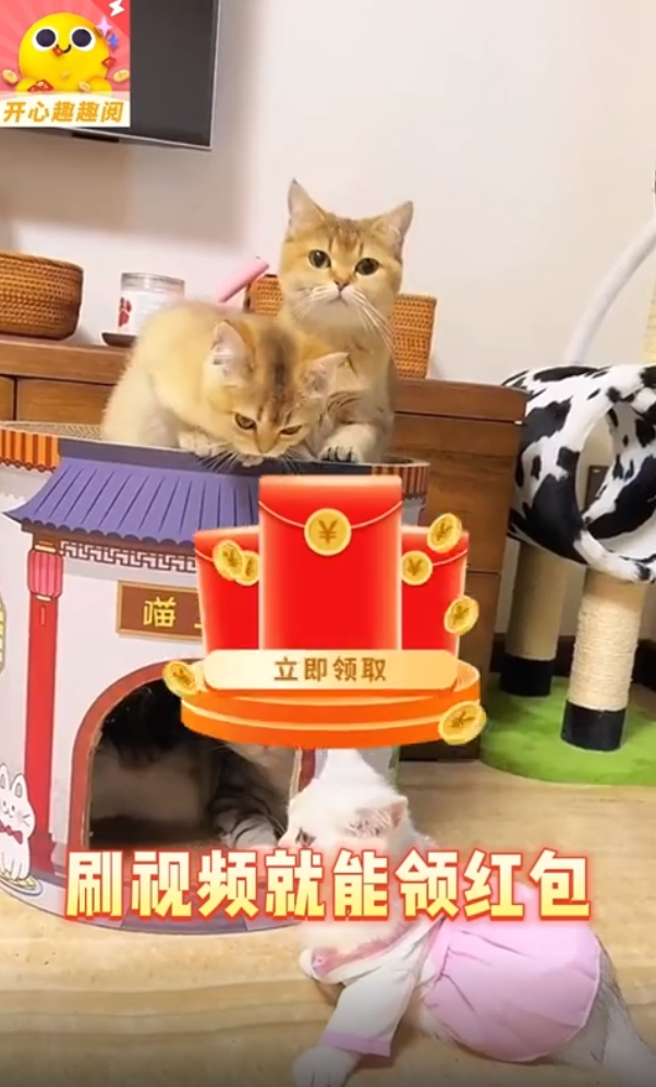 开心趣趣阅极速版 v5.4.0