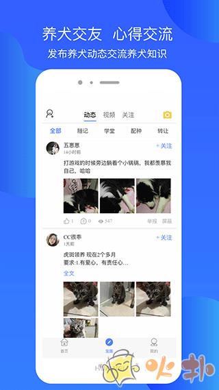 犬卫士app v1.3.71