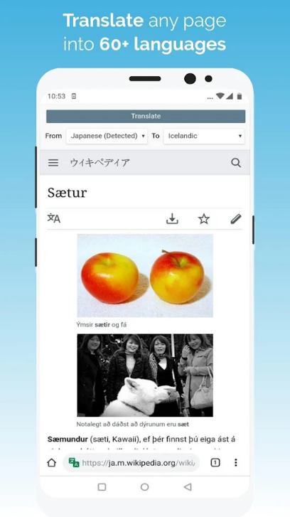 Kiwi浏览器手机版官方 v139.0.7339.0