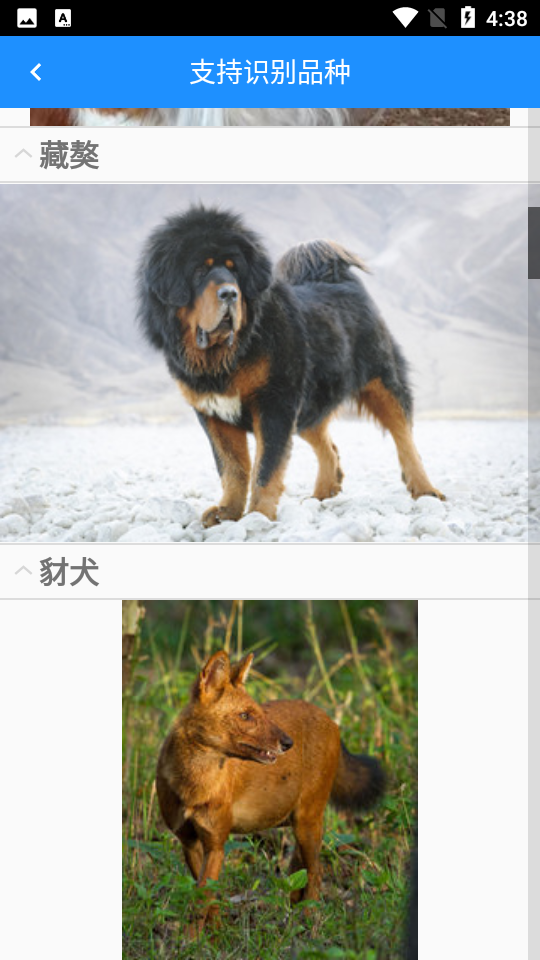 狗狗照片扫描仪APP v1.0.2