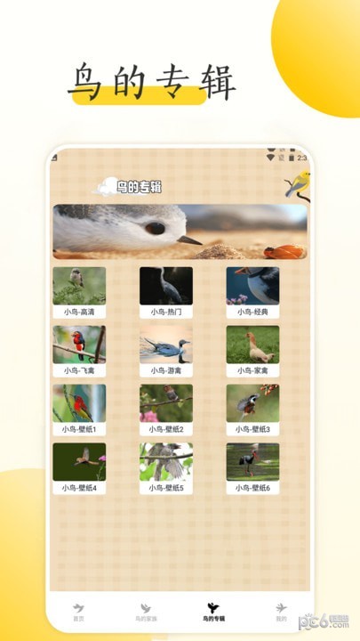 小鸟壁纸大全 v1.2