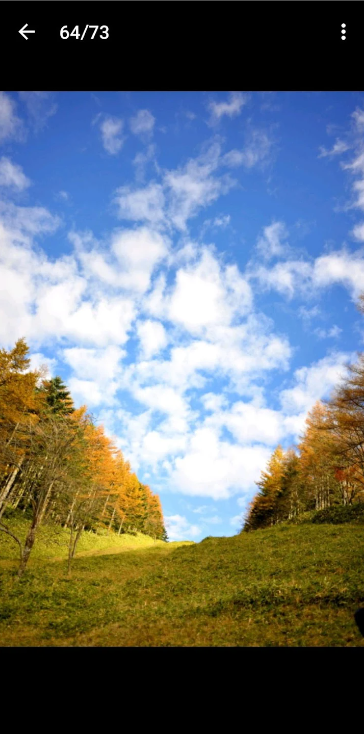 尼康影像馆官方手机版下载(NIKON IMAGE SPACE) v4.15.5