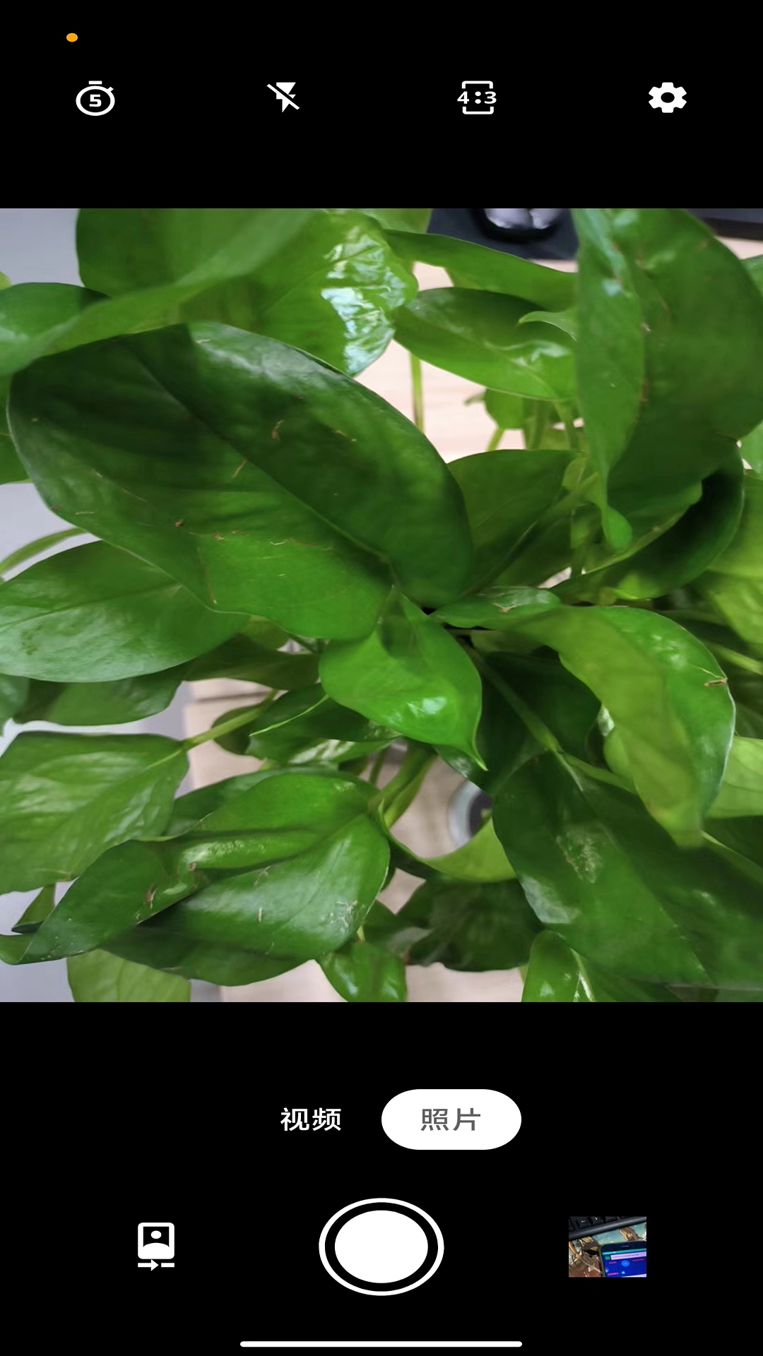 亚甜相机官方正版下载 v1.0.0