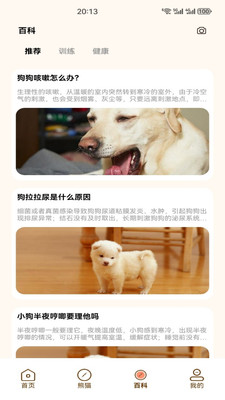 小熊猫CZR手机版下载 v1.3