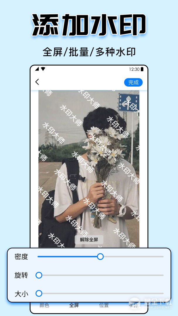 水印大师 v5.2.5