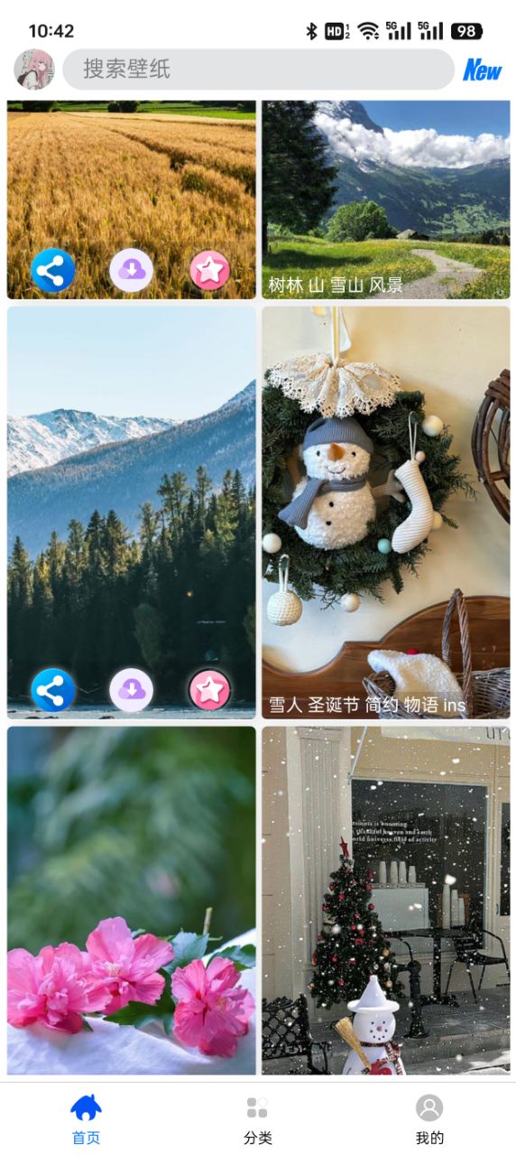 波奇壁纸高清手机版下载 v1.0.1
