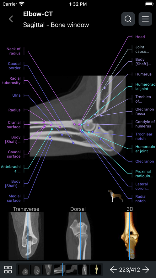 兽医解剖学vetanatomy软件中文版 v4.3.1