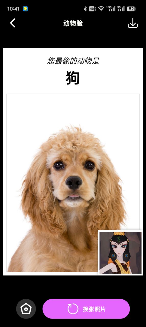 拍拍秀免费下载app v1.3.4