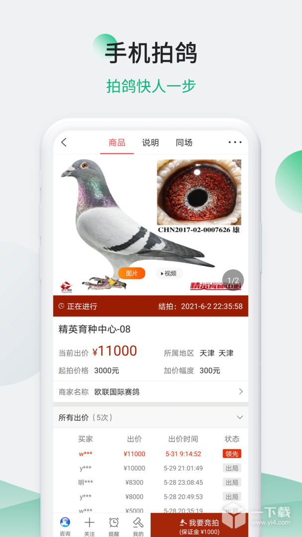 中国信鸽信息网 v20260206