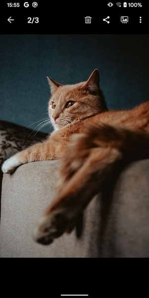 Gallery图库app官方版下载 v5.3.0