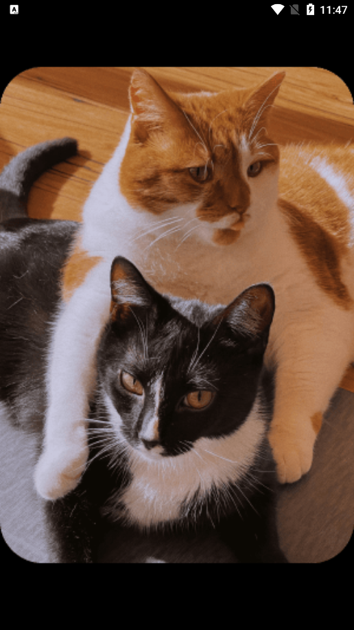 喵图匠官方下载 v1.0.0