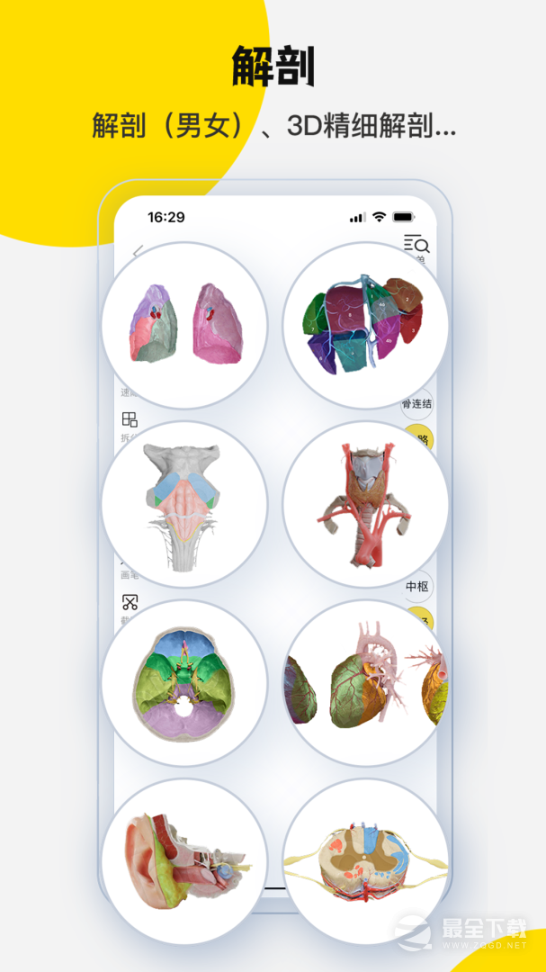 3DBody解剖 v8.8.83