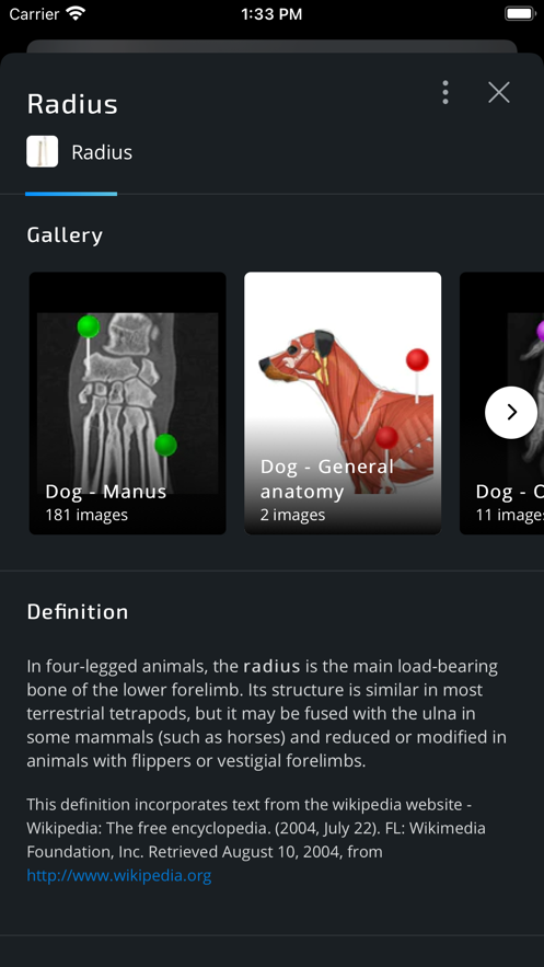 兽医解剖学vetanatomy软件中文版 v4.3.1